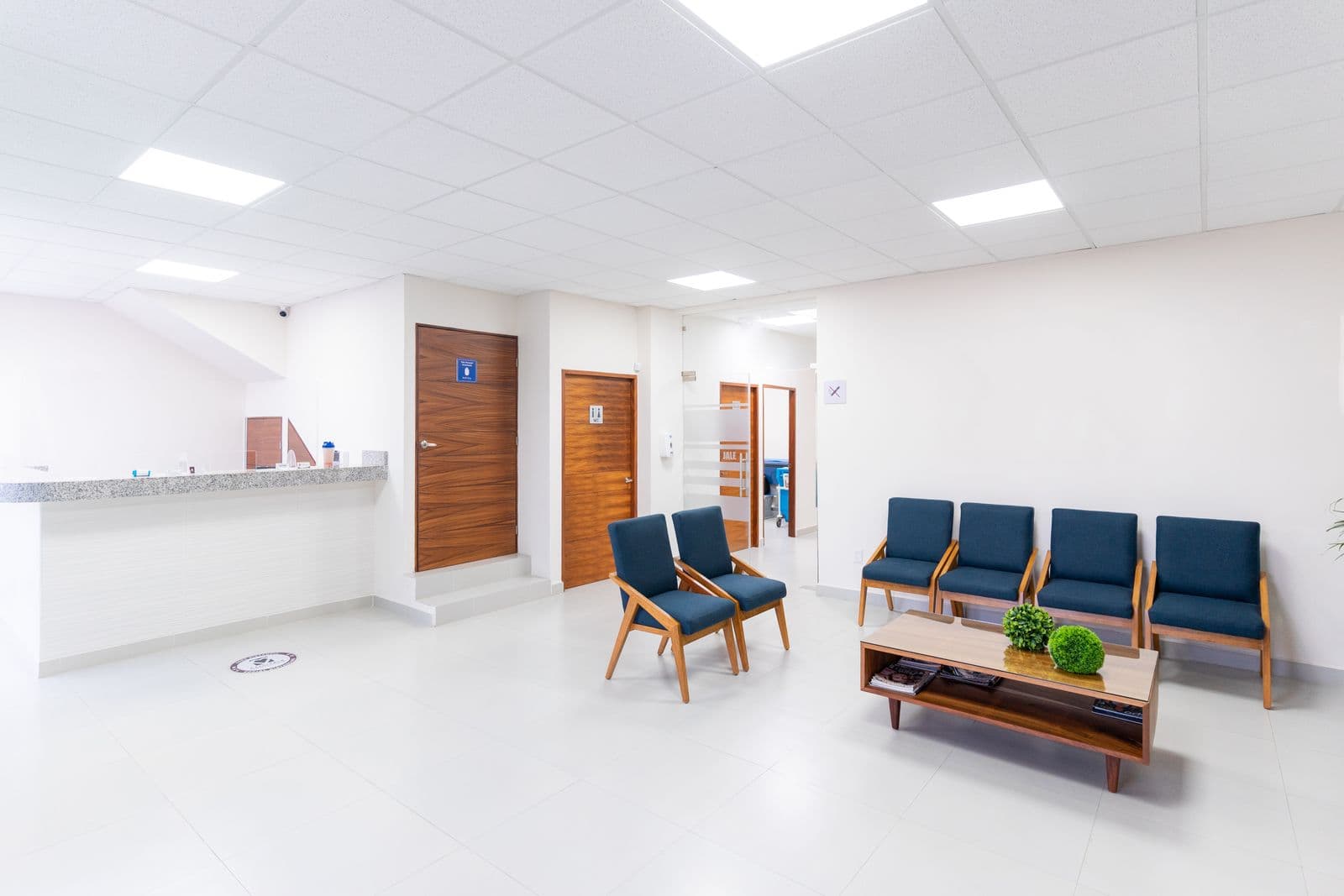 A calm, modern medical clinic reception and waiting area