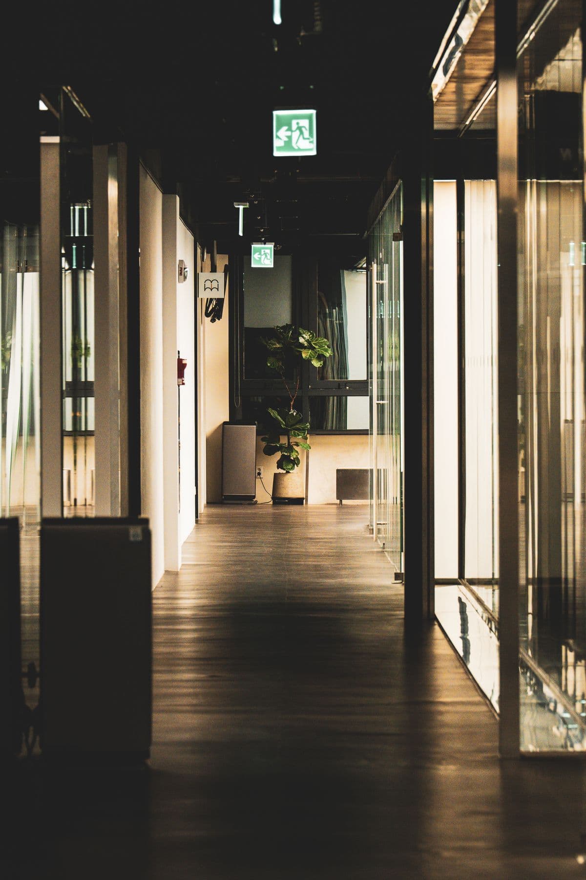 A calm, warmly lit interior hallway